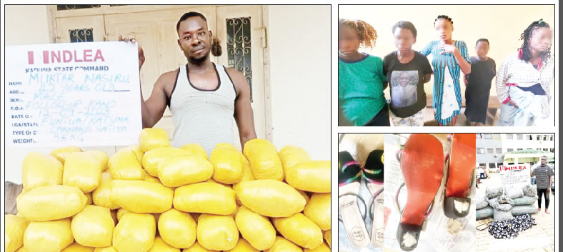 NDLEA rescues pregnant teenagers in Imo, arrests drug traffickers NDLEA rescues pregnant teenagers in Imo, arrests drug traffickers