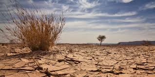 Nigeria may lose $460bn to climate change — Report Nigeria may lose $460bn to climate change — Report