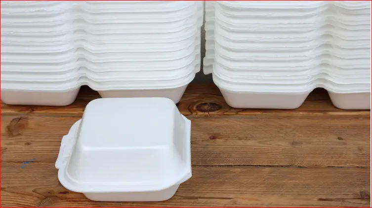 Lagos govt outlaws styrofoam, other single-use plastics Lagos govt outlaws styrofoam, other single-use plastics