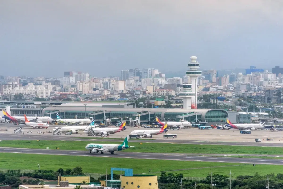 Top five busiest flight routes in the world Top five busiest flight routes in the world