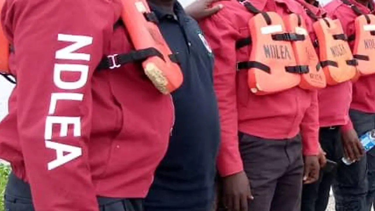 NDLEA detains businessman with 700g of cocaine at Lagos airport NDLEA detains businessman with 700g of cocaine at Lagos airport