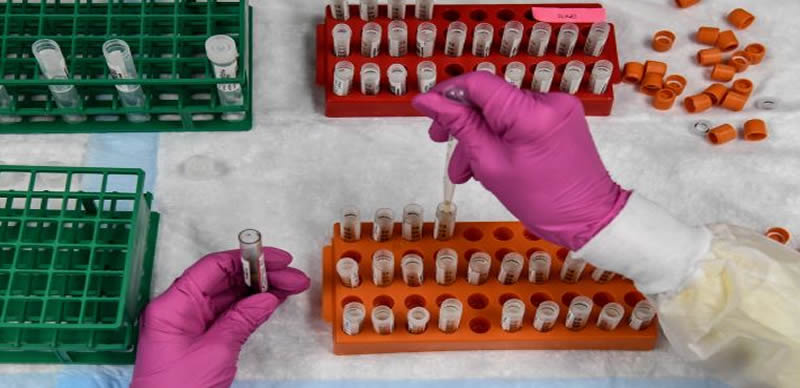 Over 5,000 hospitalised as UK faces flu outbreak Over 5,000 hospitalised as UK faces flu outbreak
