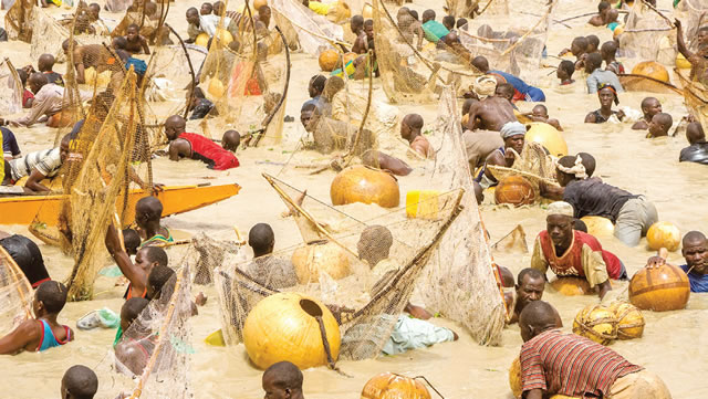 Kebbi postpones Argungu fishing festival to 2026 Kebbi postpones Argungu fishing festival to 2026