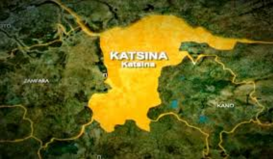 Katsina gov’s wife unveils moringa farming programme for women Katsina gov’s wife unveils moringa farming programme for women
