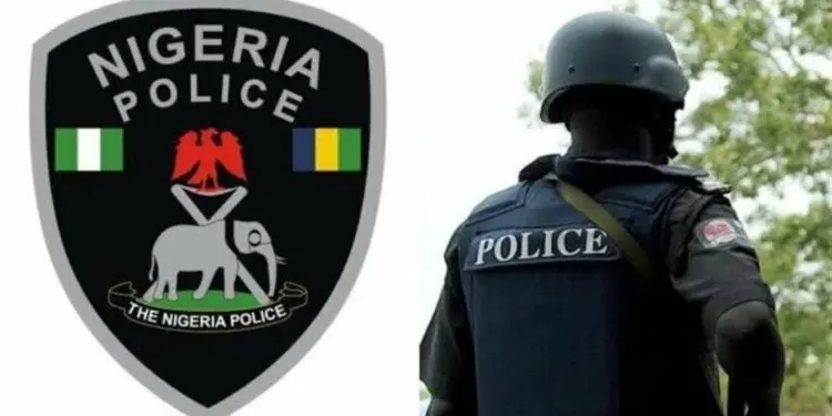 Police nab siblings for stealing bags of cement in Ogun