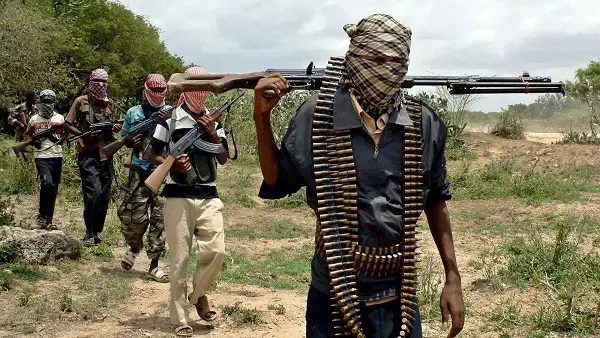 Police arrest village head for harbouring bandits in Niger