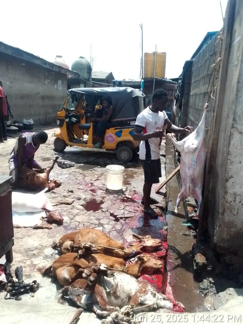 Lagos seals another illegal Abattoir in Agege over unhygienic practices, arrests four