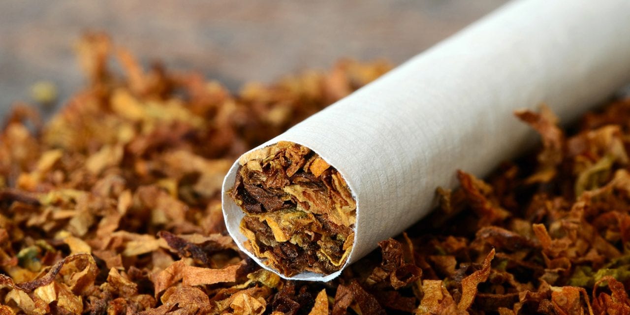 WHO urges ban on flavoured tobacco products