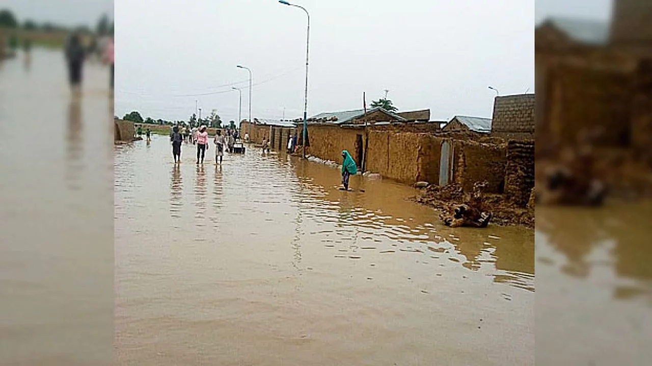207 persons died in Mokwa flood, NSEMA says