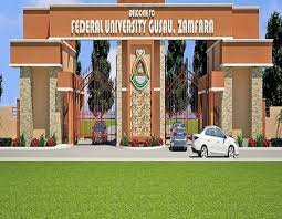 Bandits kidnap Federal University students in Zamfara