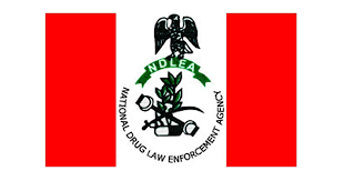 NDLEA seizes 112kg of cannabis in Kano road accident