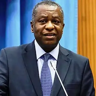 Former Nigerian Ambassador sues former Foreign Minister, Onyeama for libel in US court