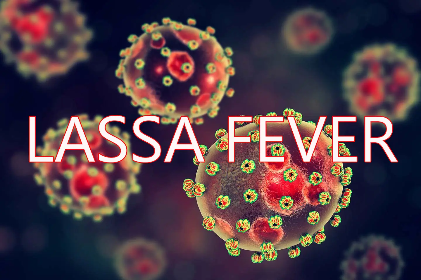 Nigeria records rise in Lassa fever deaths – NCDC