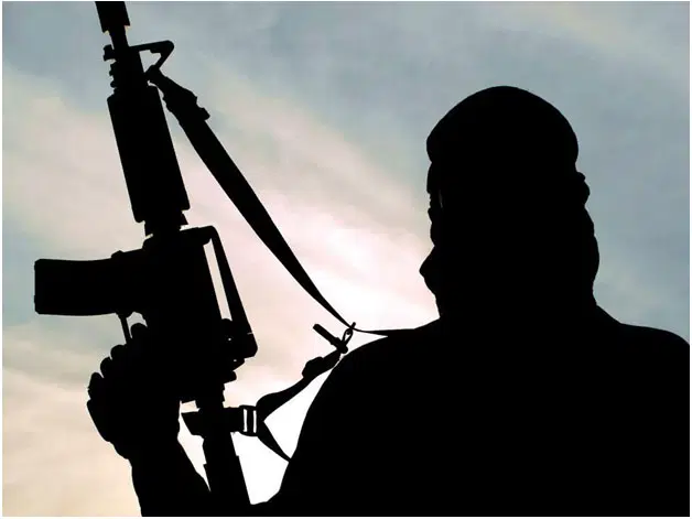 Terrorists kidnap 25 schoolgirls in Kebbi