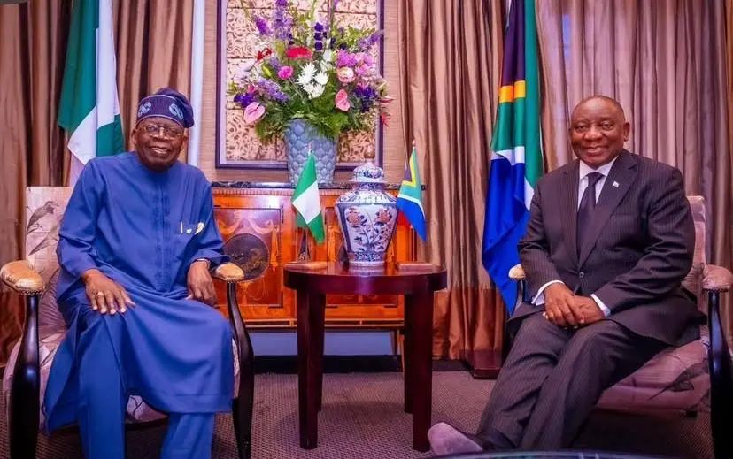 Nigeria, South Africa operationalise advisory council to boost trade