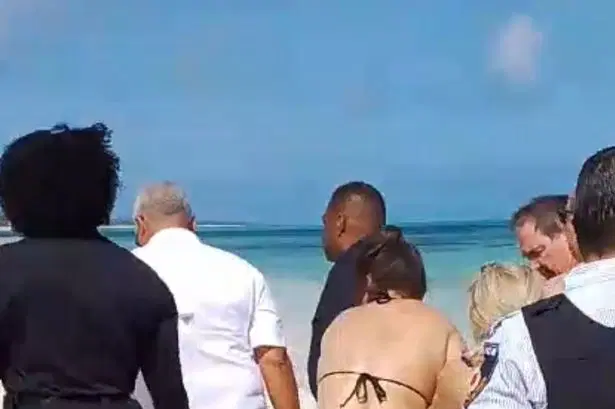 Shark bites woman’s hands off after she tried to take photo of it