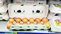 US imports eggs from Korea, Turkey to ease prices
