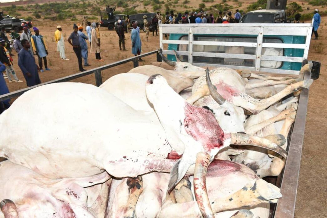 ‘32 cows’ die after suspected poisoning in Plateau ‘32 cows’ die after suspected poisoning in Plateau