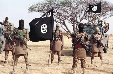 Boko Haram hit Adamawa community again, destroy facilities, hoist flags Boko Haram hit Adamawa community again, destroy facilities, hoist flags
