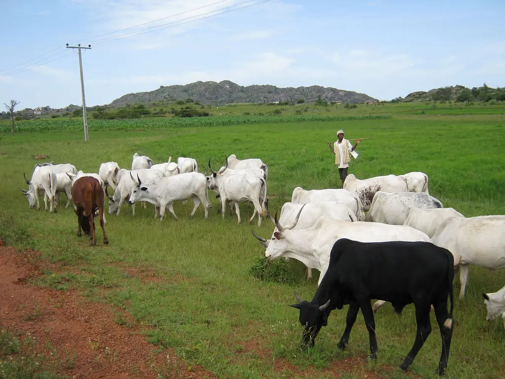 Suspected herdsmen kill village head, abduct others in Tiv community in Nasarawa, Suspected herdsmen kill village head, abduct others in Tiv community in Nasarawa,
