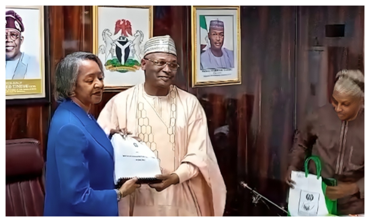 INEC gets Acting Chair as Mahmud leaves