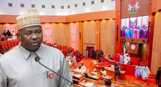 Senate confirms former CDS, Gen Musa, as defence minister