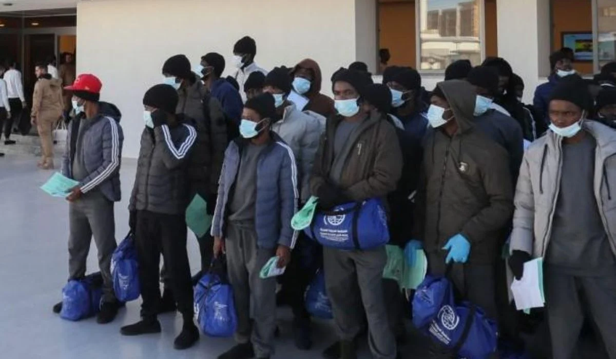 Canada deports 366 Nigerians as 974 face removal Canada deports 366 Nigerians as 974 face removal