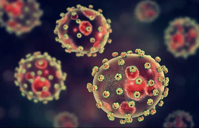 Doctor dies treating Lassa fever; colleagues blame failing health system